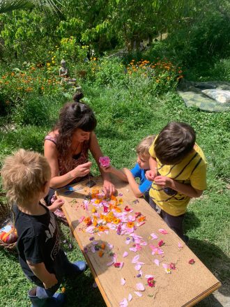 cab9d4f8-a099-4822-868f-03ca7c65d1d6